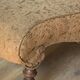 Antique brown recamier armchair in fabric and wood, S-shaped silhouette and turned legs.