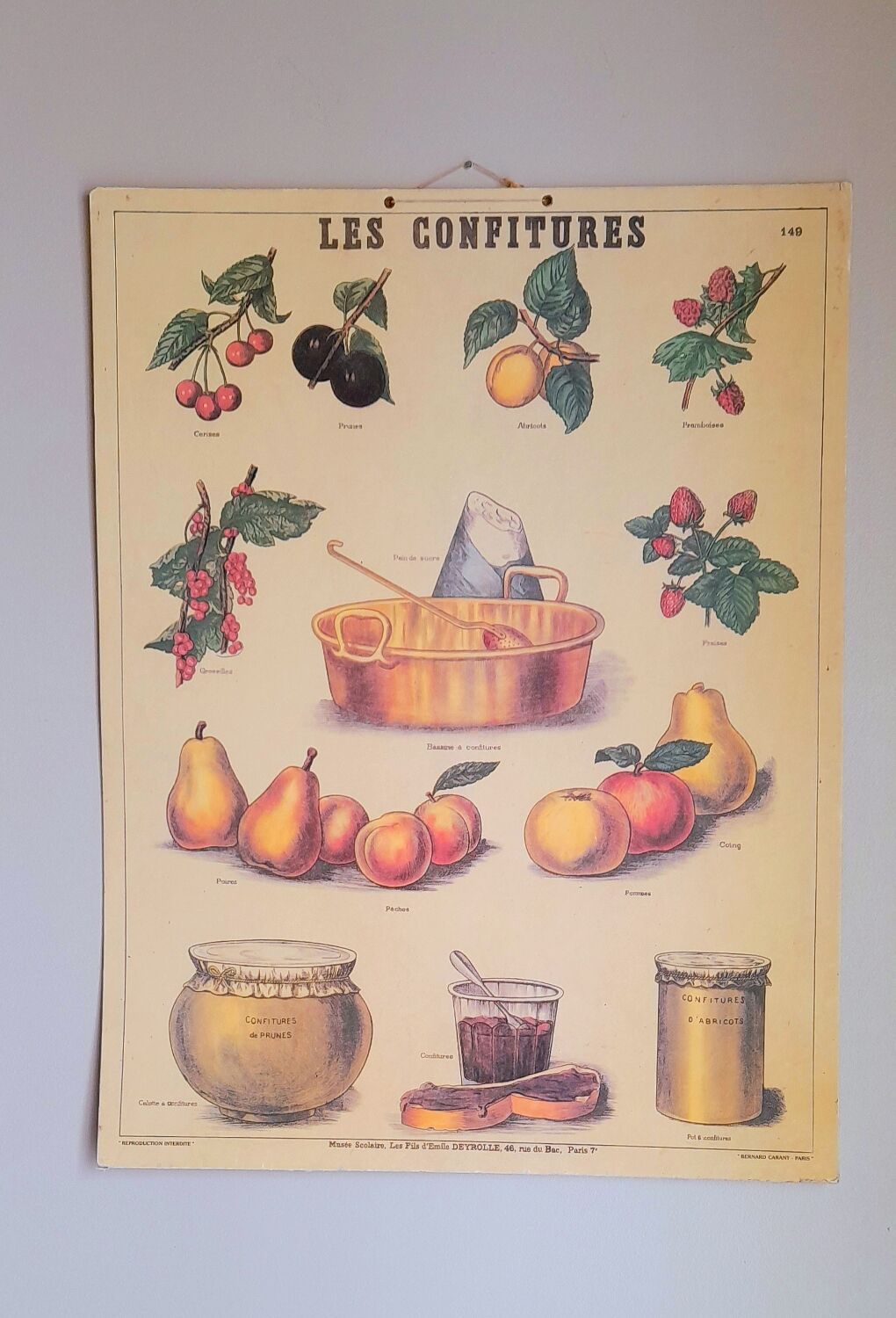 Deyrolles poster 'jams'