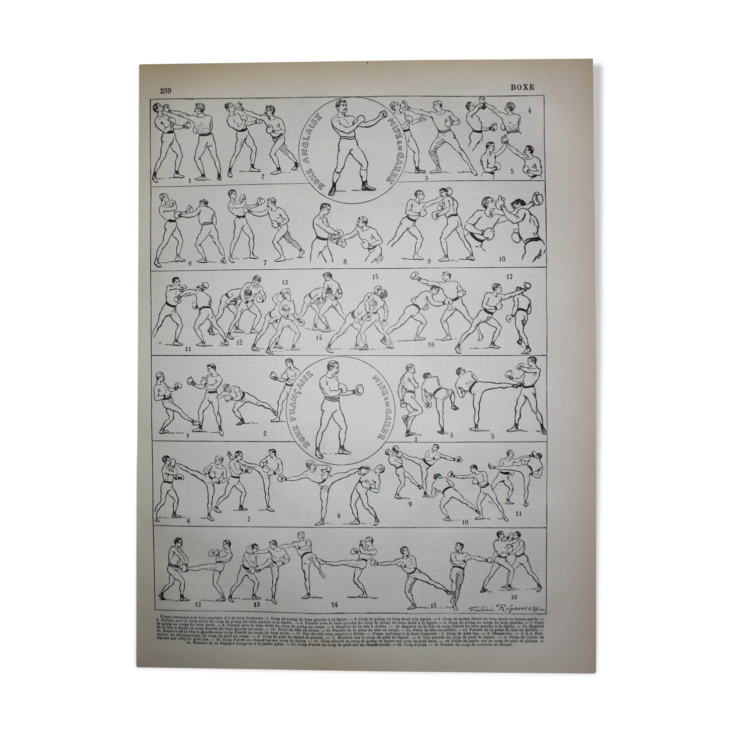 Engraving • Boxing, technique, combat sport • Original lithograph from 1898