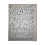 Engraving • Boxing, technique, combat sport • Original lithograph from 1898