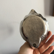 Empty silver swan pocket
