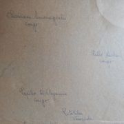 Cadre vitrine de Papillons et scarabées naturalisés Entomologie