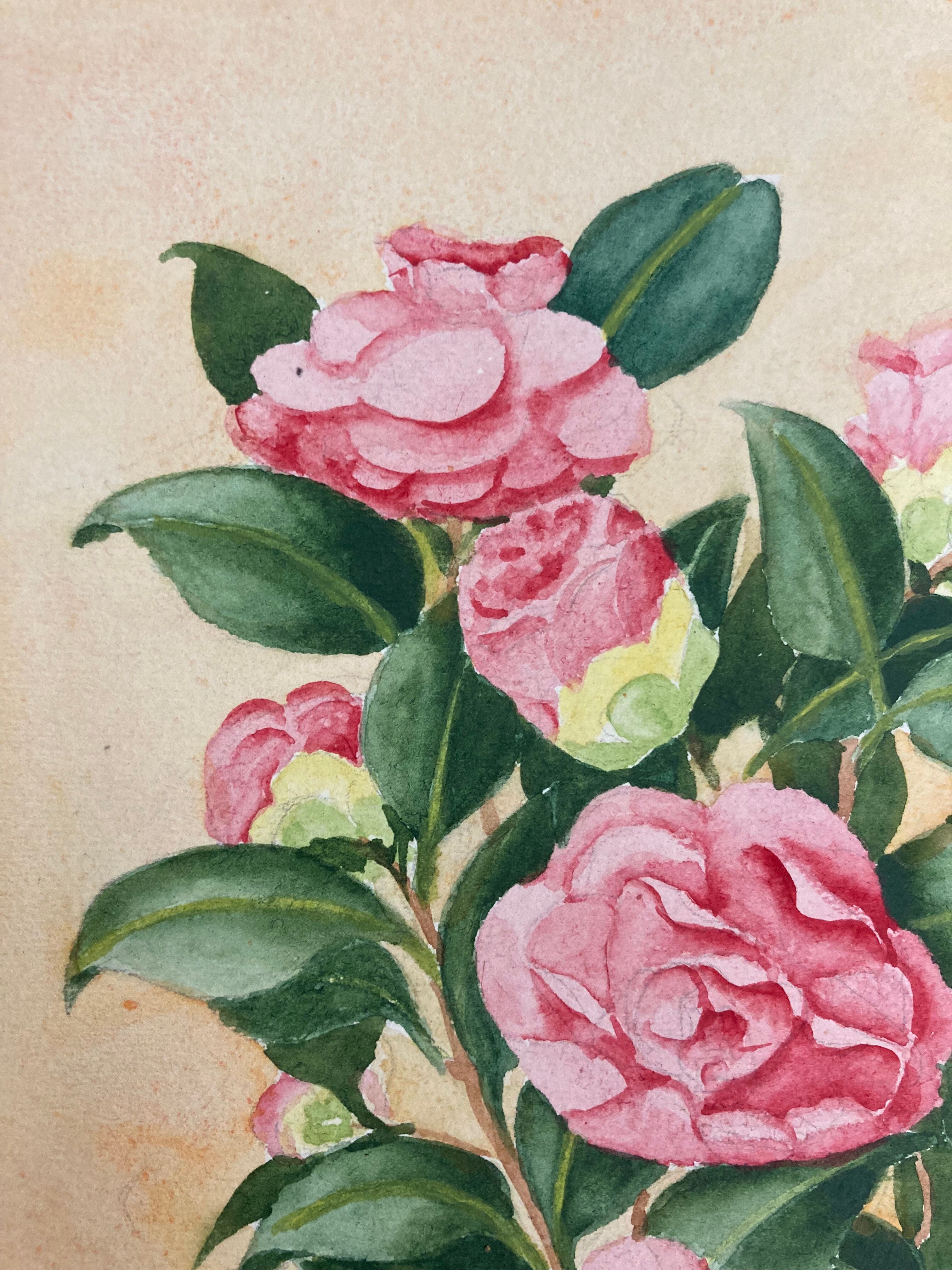 Aquarelle camélias vintage