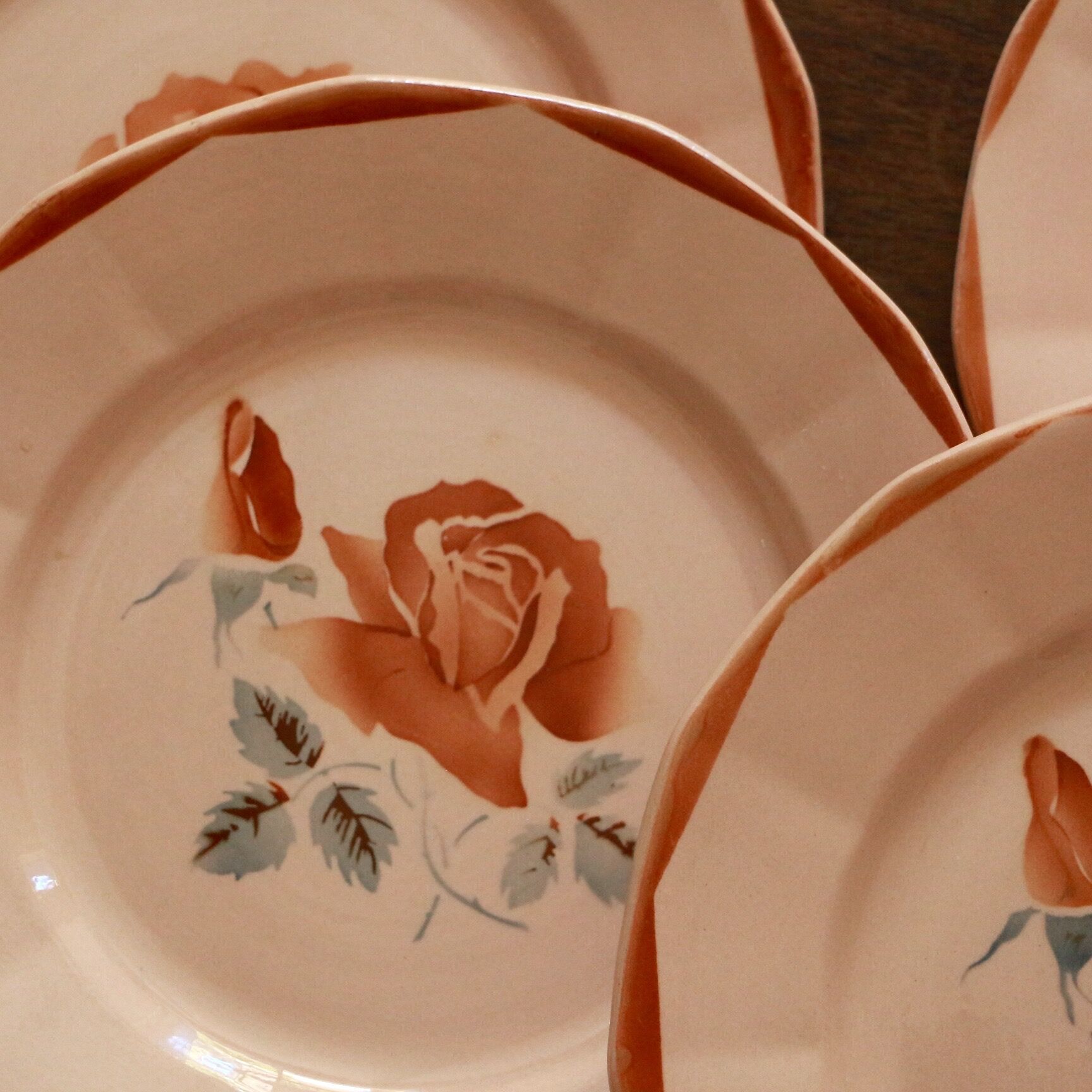 Assiettes plates DIgoin