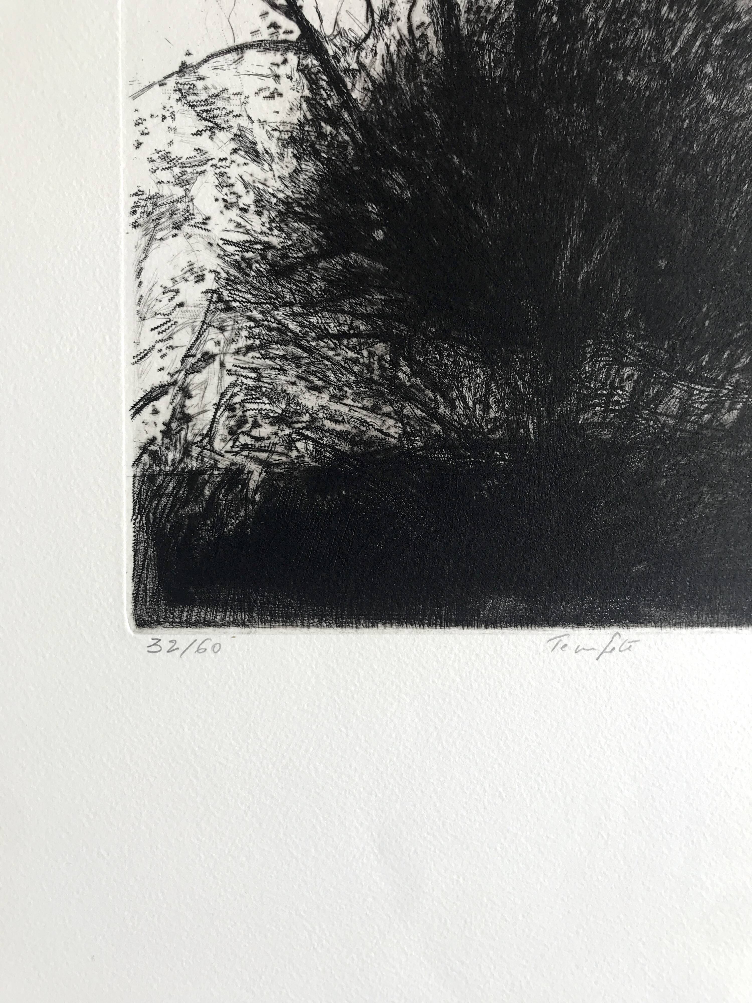 Nicole BOUHARMONT, Tempête, 2013. Original signed drypoint