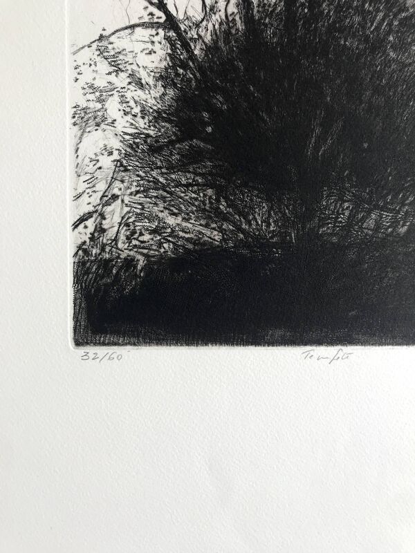 Nicole Bouharmont, tempête, 2013, pointe sèche originale signée