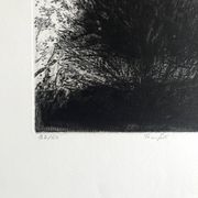 Nicole Bouharmont, tempête, 2013, pointe sèche originale signée
