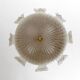 Vistosi Mid-Century Modern Italian Murano Glass and Brass Chandelier, 1960