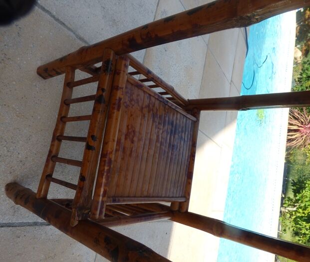 Bamboo harness with removable shelf