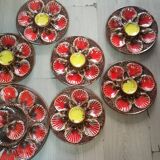 Assiettes à huître