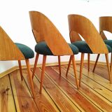 Chairs from Proj. A. Suman, Tatr Nabytok for Tatra, Czechoslovakia, 1960s, Set of 4