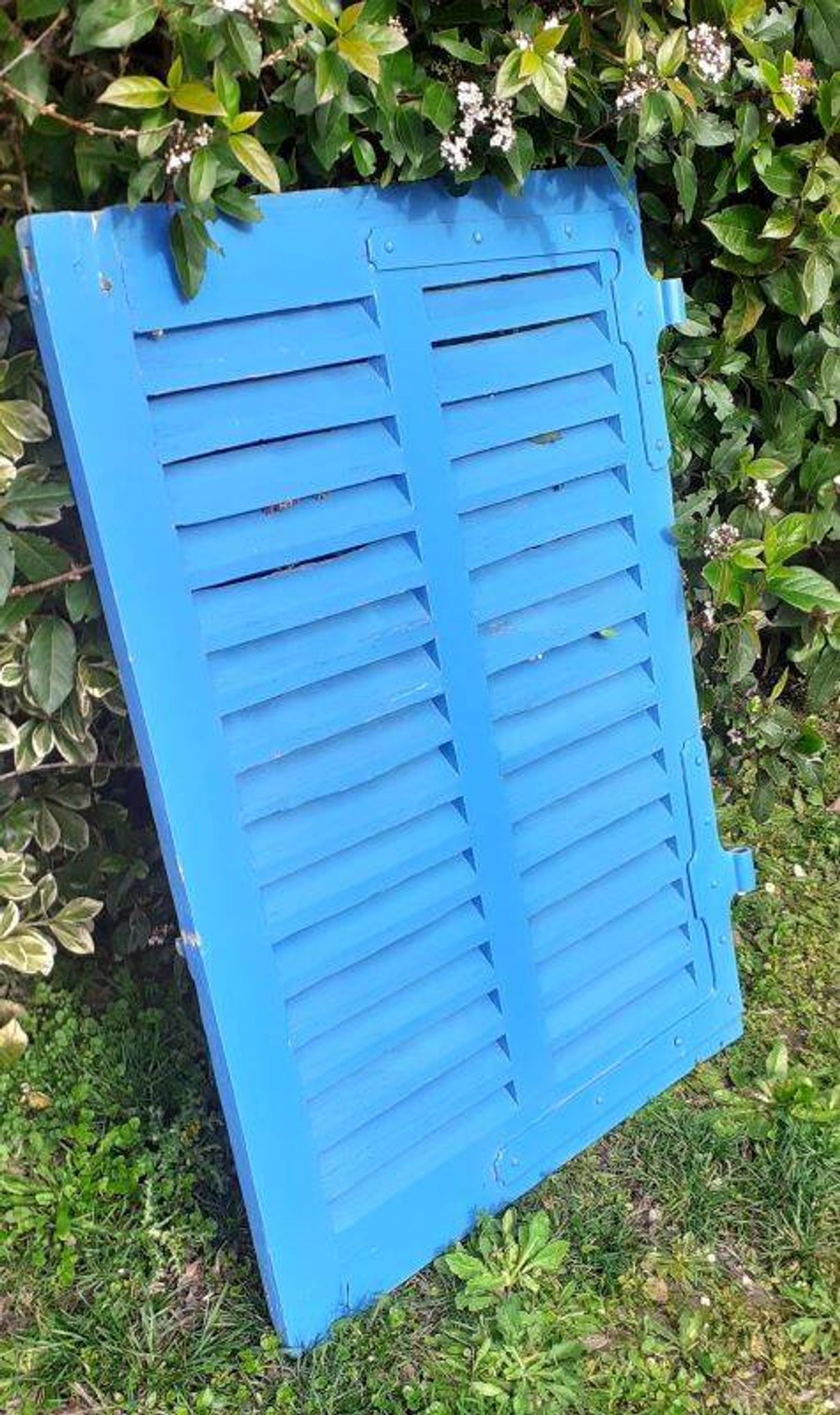 Petit volet  L75xH101cm bleu à persiennes