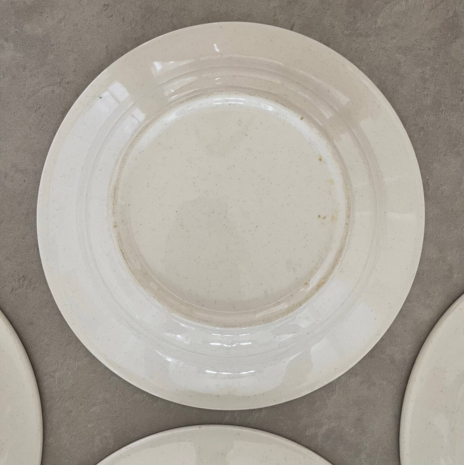 6 earthenware soup plates