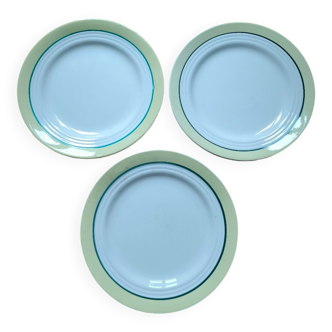 Lot de 3 assiettes vintage ceranord st Amand semi vitrifié modèle Nice