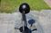 Vintage steel desk lamp 1970