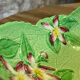 Slip fruit cup leaves flowers Carlton Ware England