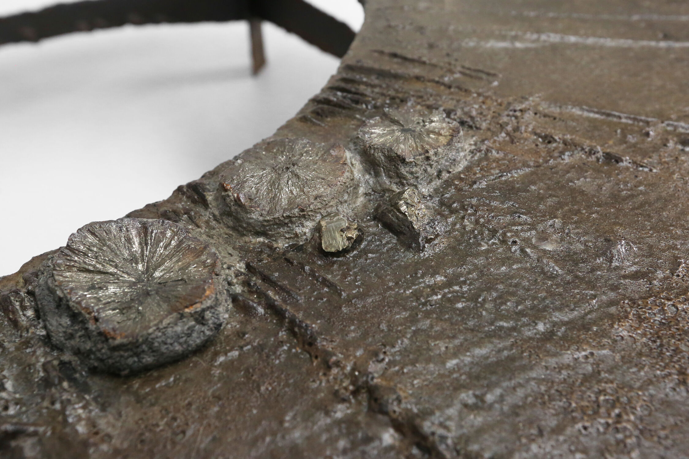 Pia Manu coffee table