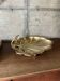 Empty pocket scallop in brass from the 50s