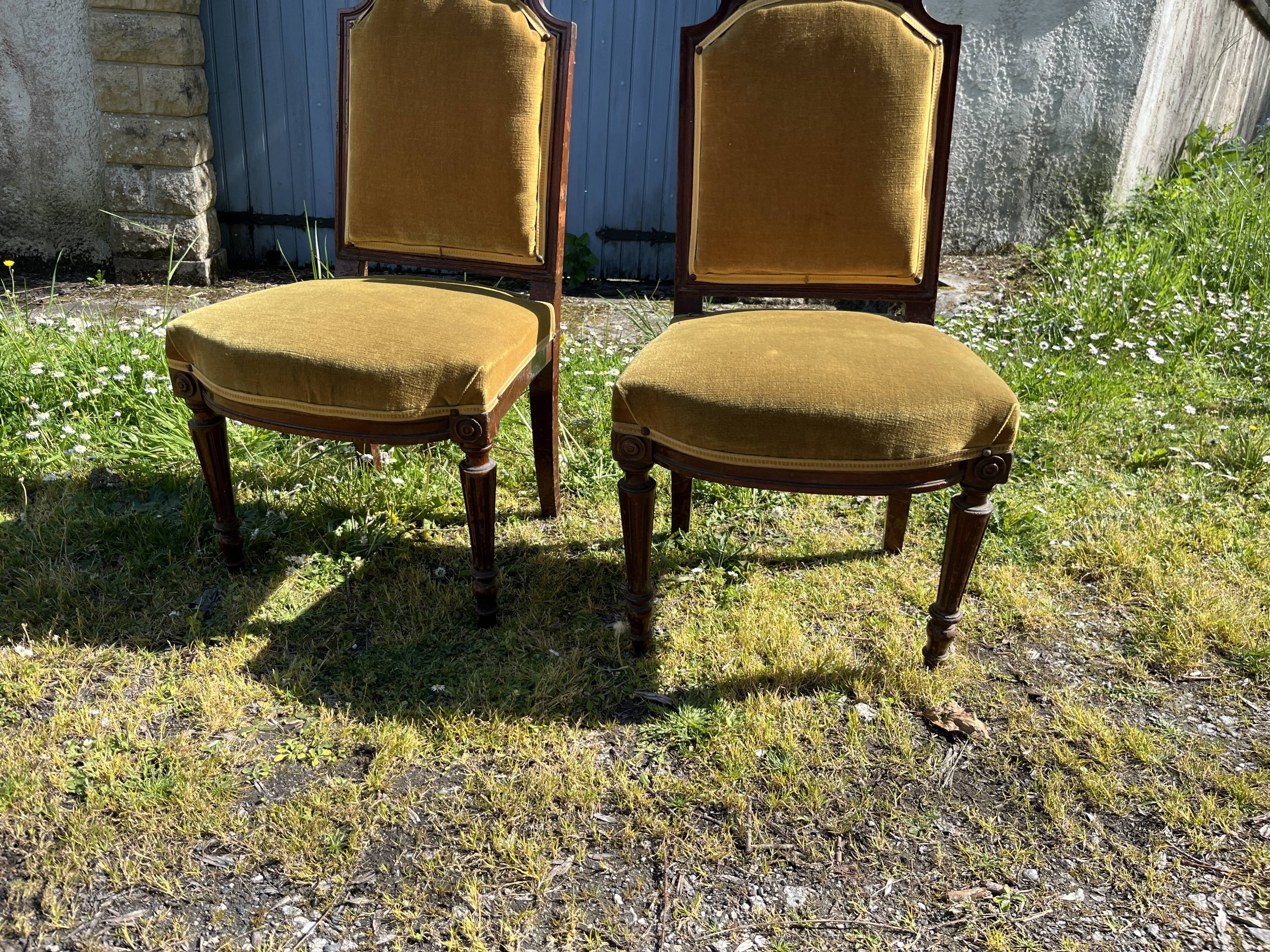 Pair of antique Louis XVI style chairs - carved wood - green velvet -