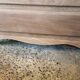 Oak chest of drawers