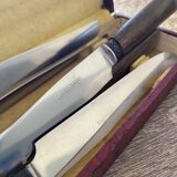 Set of 12 Apollonox horn knives