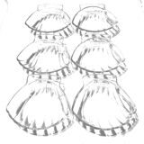 set of 6 glass scallops