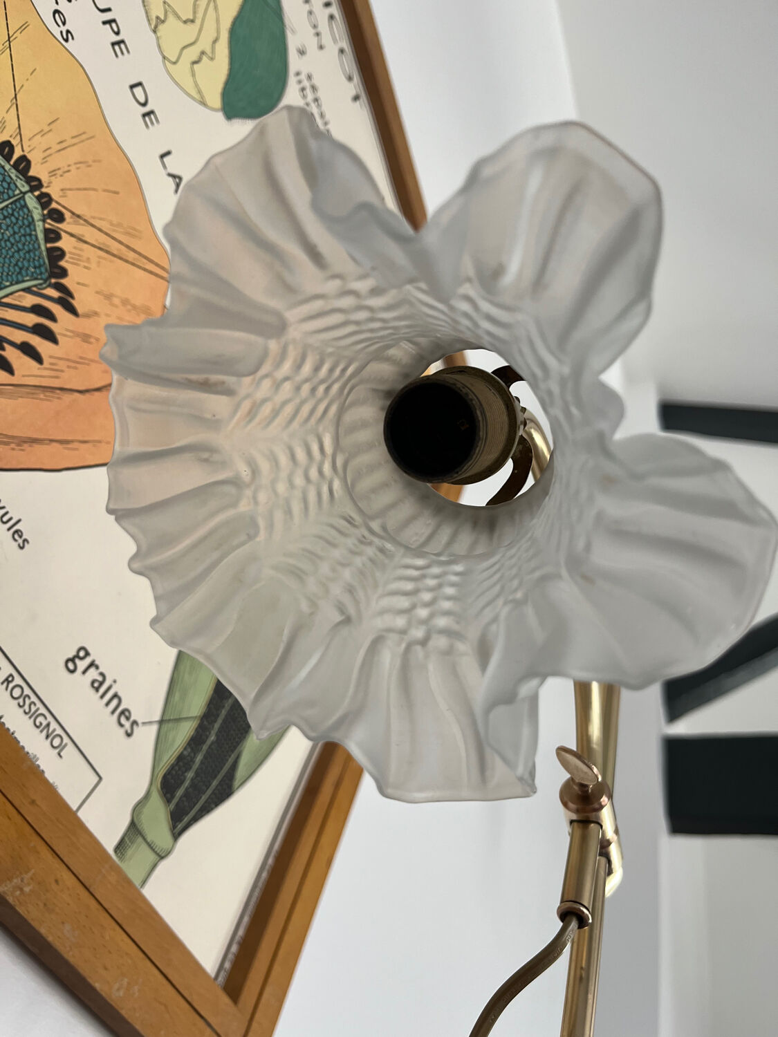 1900 adjustable swan neck lamp