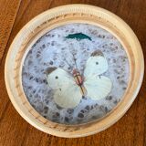 Tray and 6 coasters with naturalized butterflies