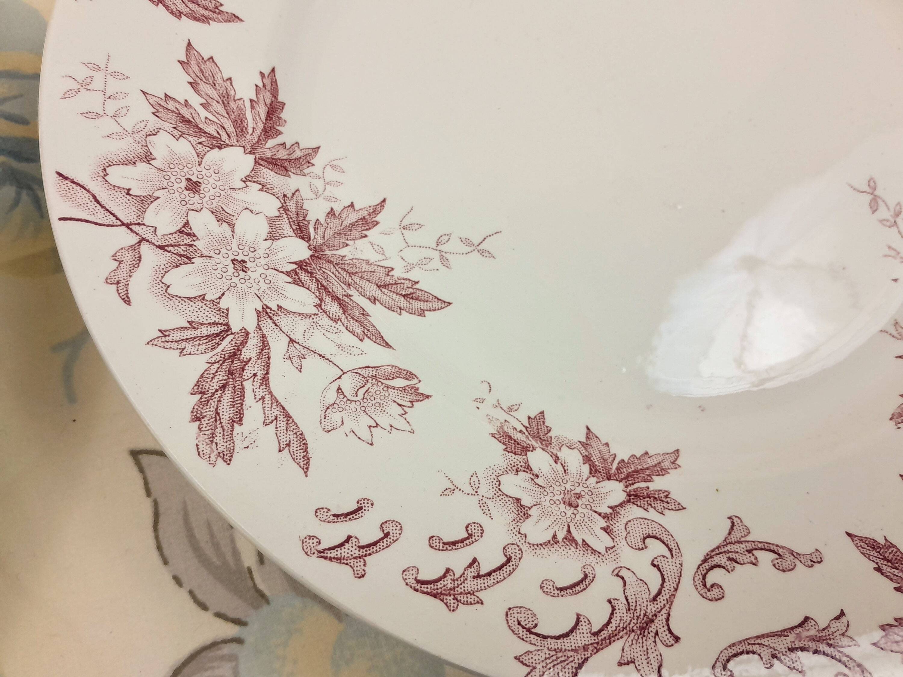 6 Amandinoise Anemone flat plates
