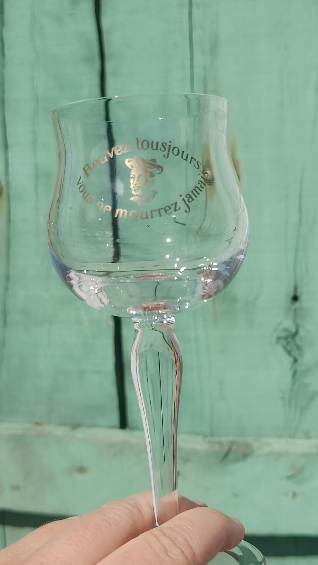 Chinon Rabelaisian glasses – Touraine – vintage glassware