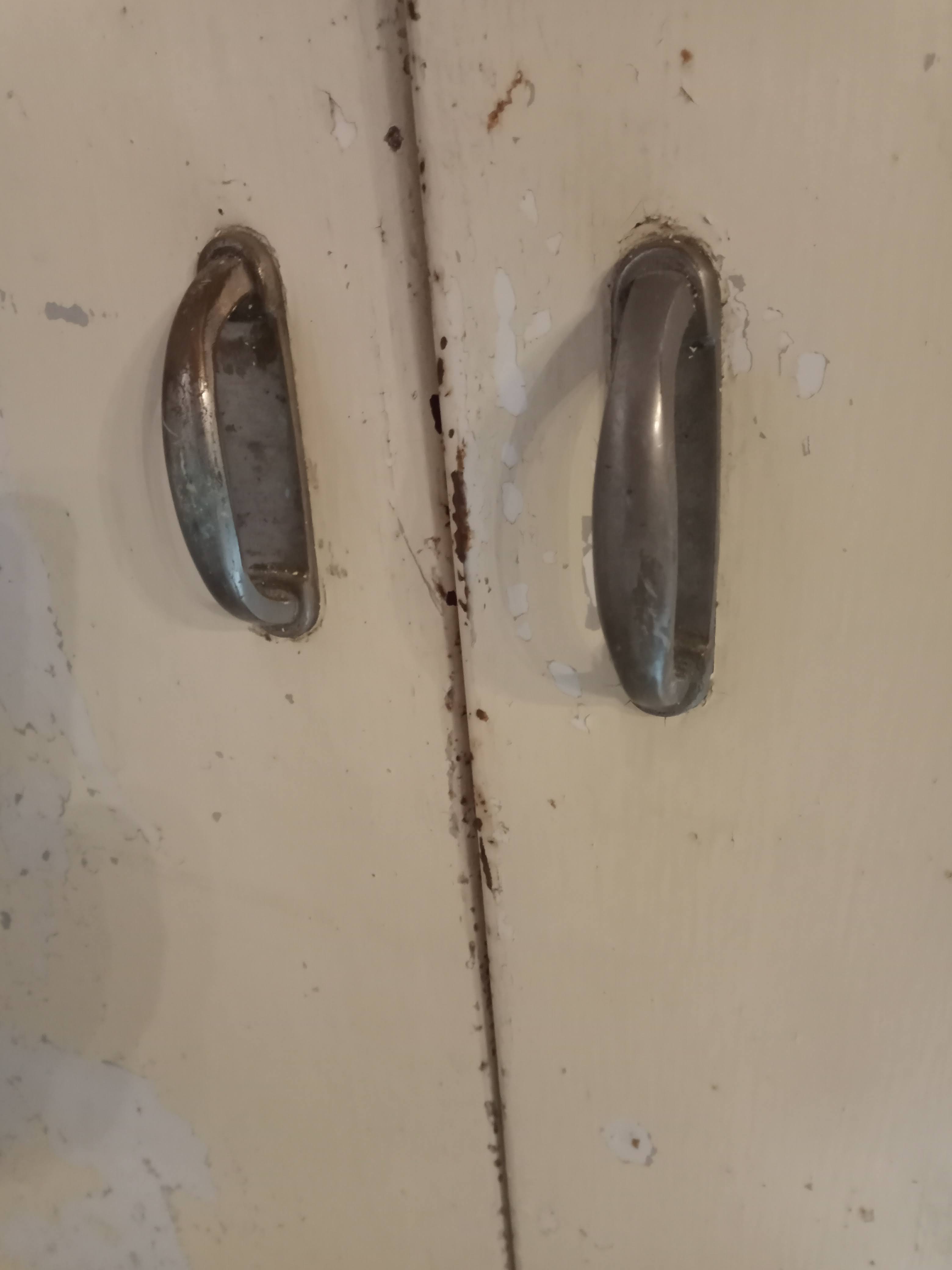 antique metal cabinet two doors