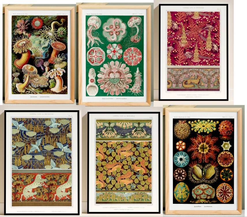 Set of 6 posters