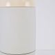Vintage Pill Pendant Lamp in Milk Glass from Peill & Putzler, Germany, 1960s