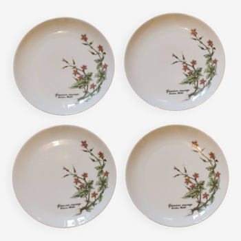 Floral plates