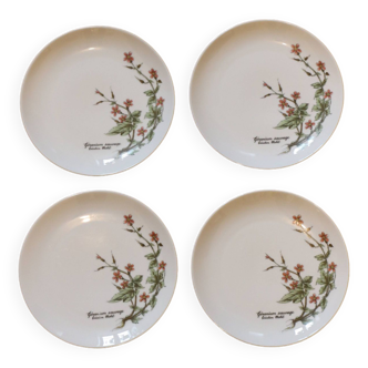 Floral plates