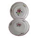 Pair of hand-painted antique plates – antique rose motif