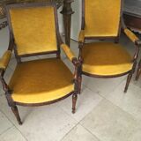 Salon 18th yellow ochre