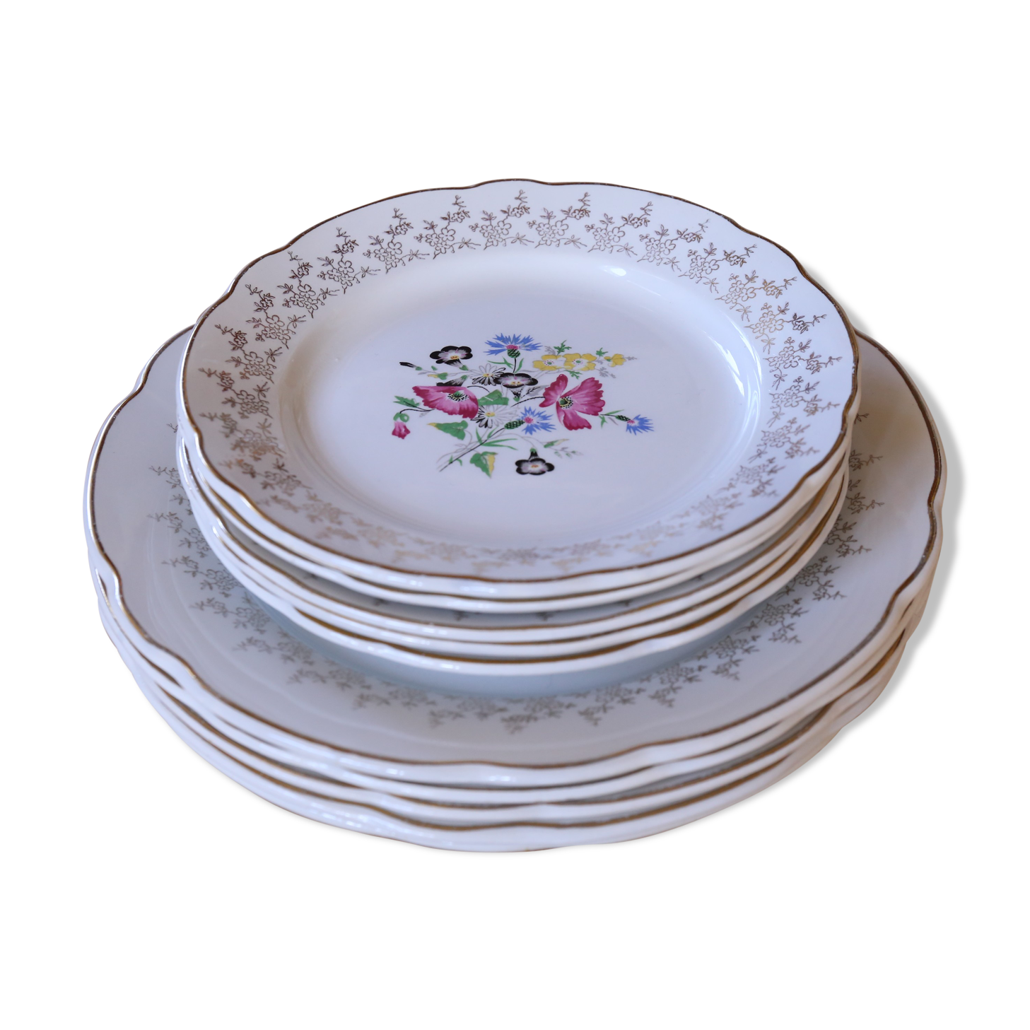 Service of 10 plates Digoin & Sarreguemine