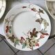 set of 8 dessert plates Terre de Fer Lunéville model Lier XIXth