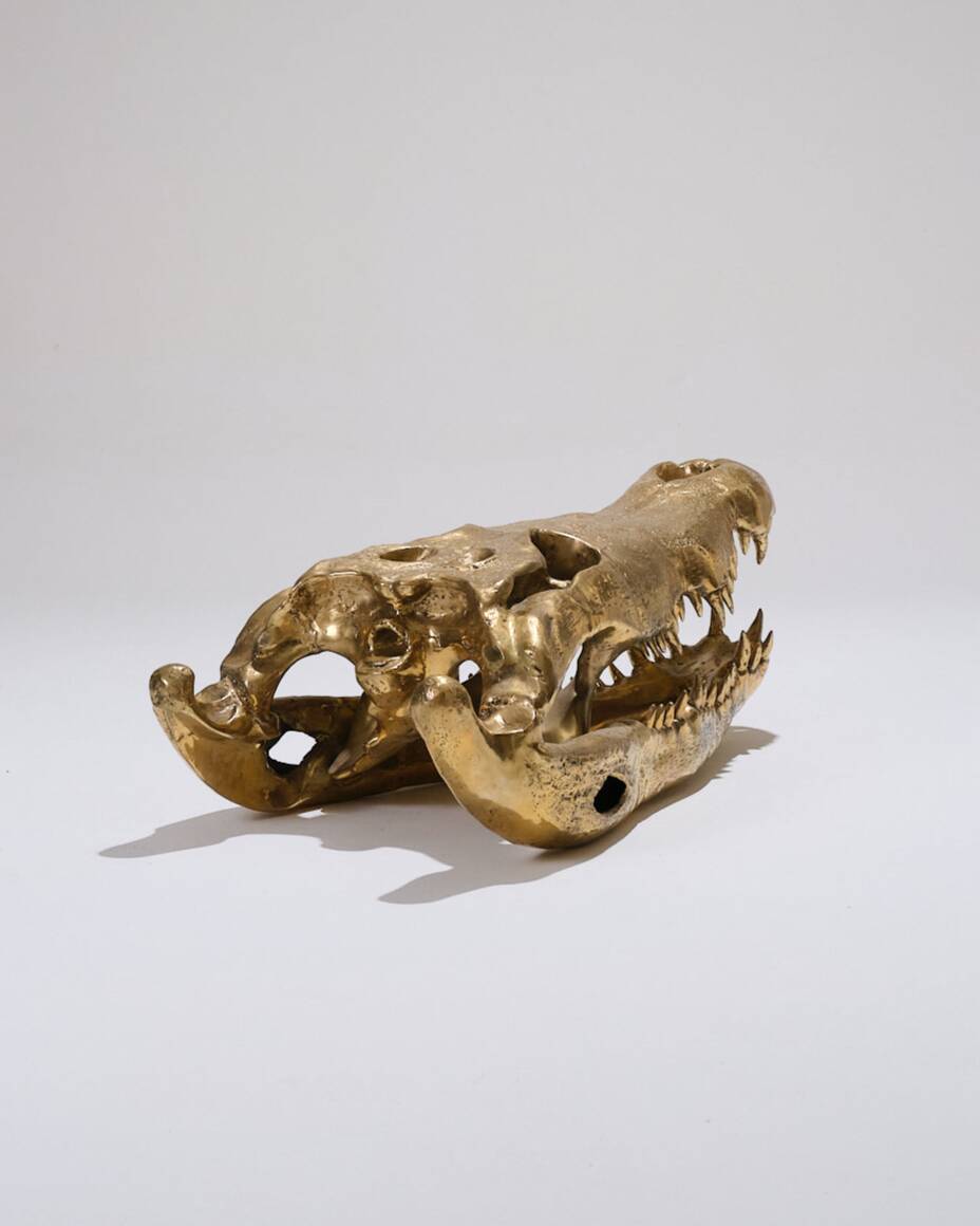 Large brass crocodile head