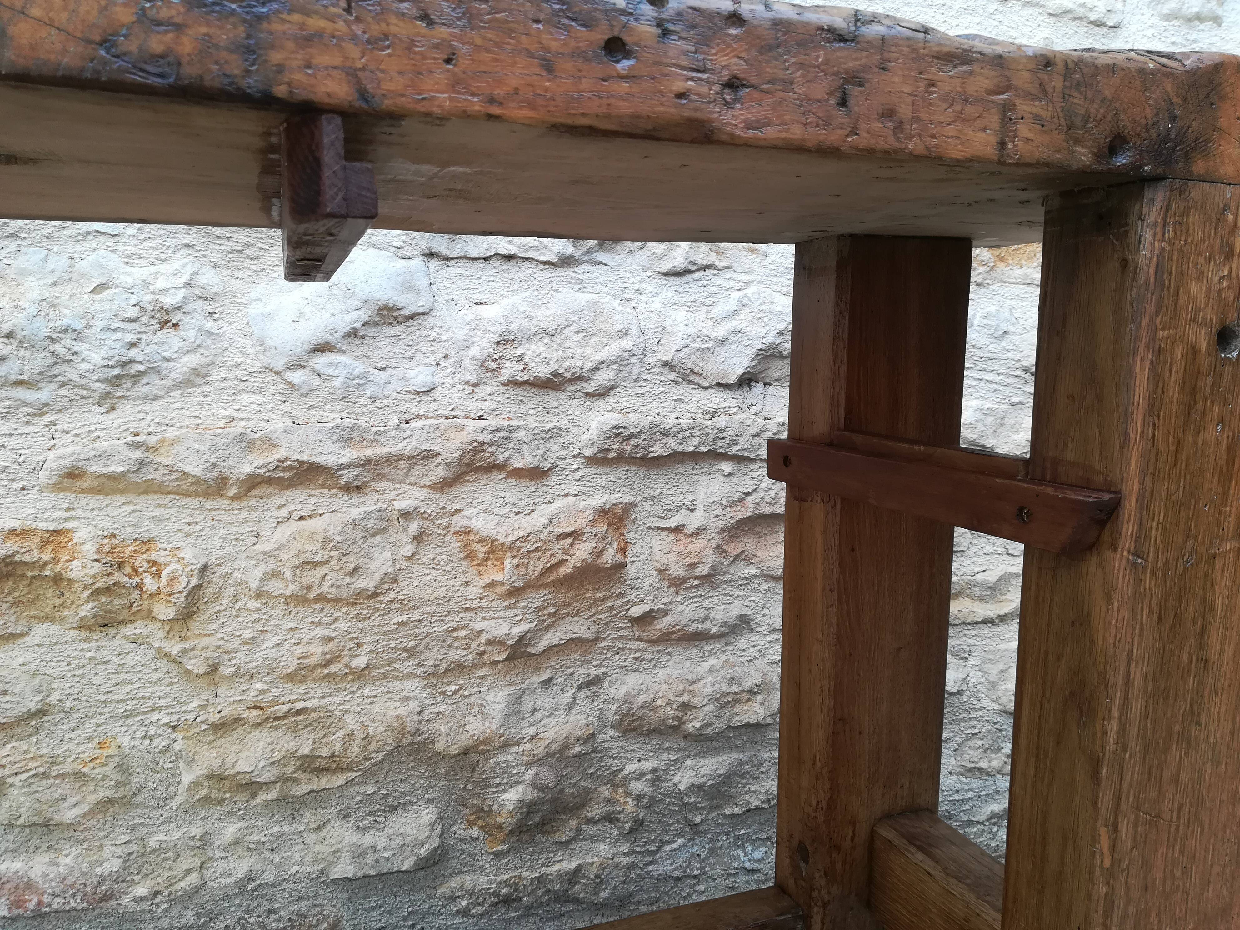 Established in elm and oak