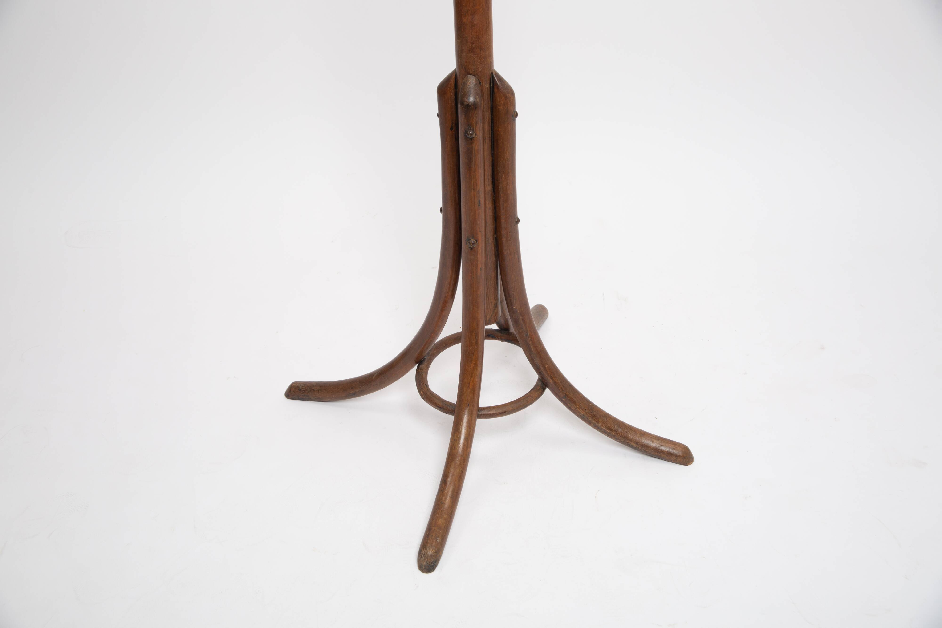 Coat rack parrot curved wood 1900