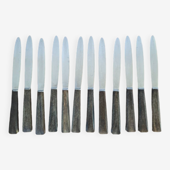 Set of 12 horn handle knives