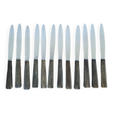 Set of 12 horn handle knives