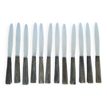 Set of 12 horn handle knives