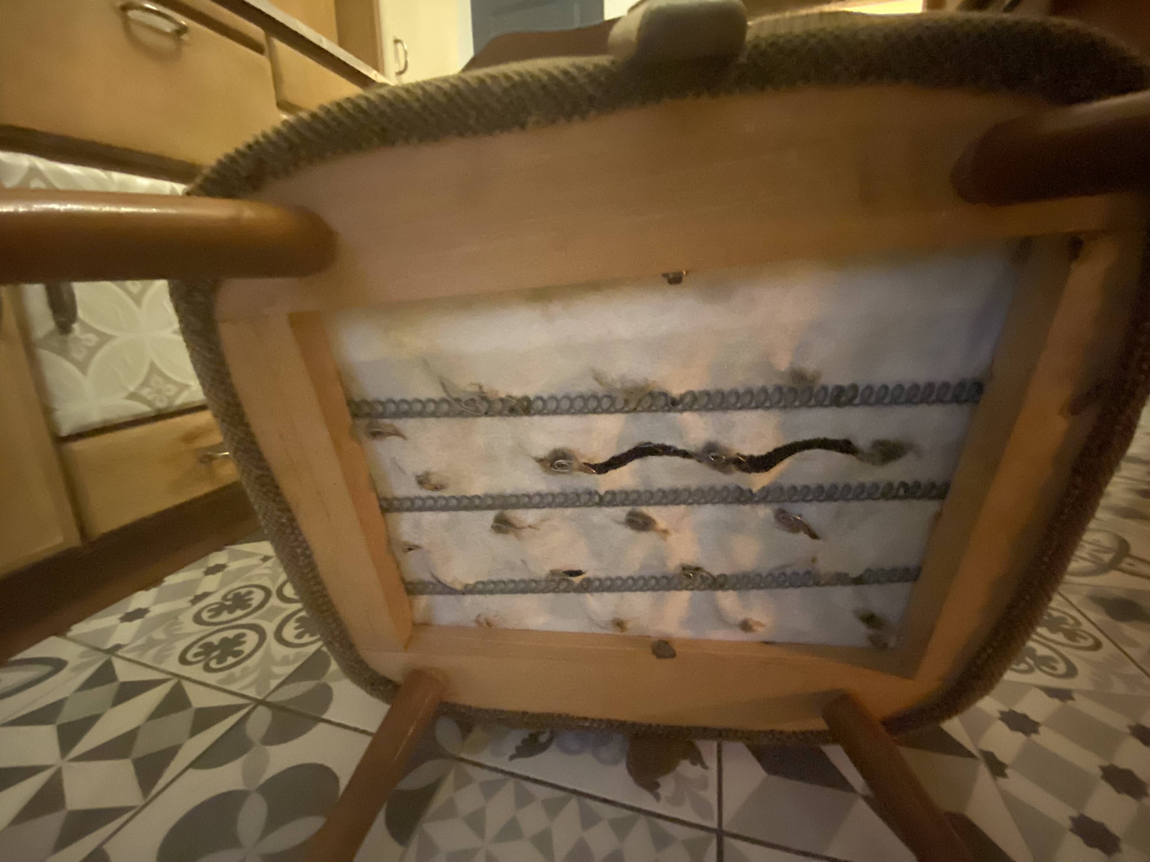 "Cocktail" Armchair 1950 – Compass Legs & Firm Spring Seat