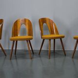 1960s Antonin Suman set of four dining chairs in walnut finish, Czechoslovakia