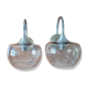 Pair of sciolari wall lights 1970