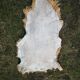 Pink sheep skin