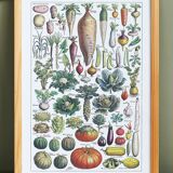 Poster about vegetables, based on a 1922 lithograph